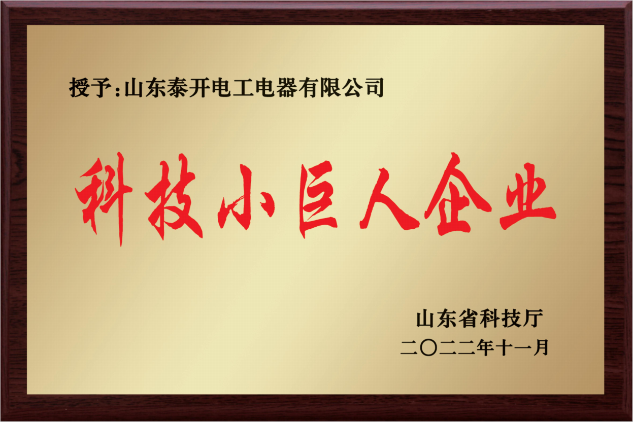 科技小巨人企业